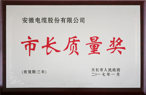 天長市長質(zhì)量獎(jiǎng)